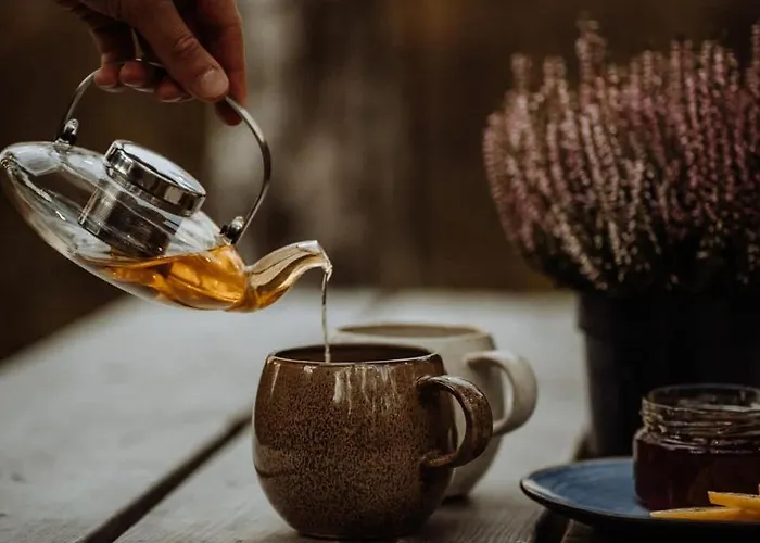 Hidden Base * Smolarnia (Zyrardow)